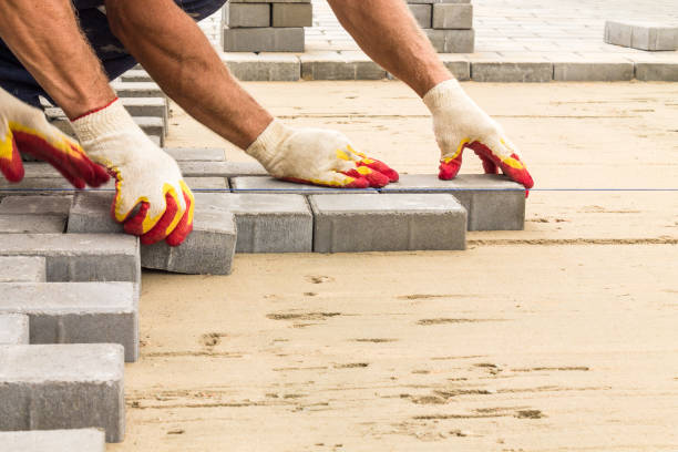 Best Local Driveway Pavers  in Pleasant View, TN