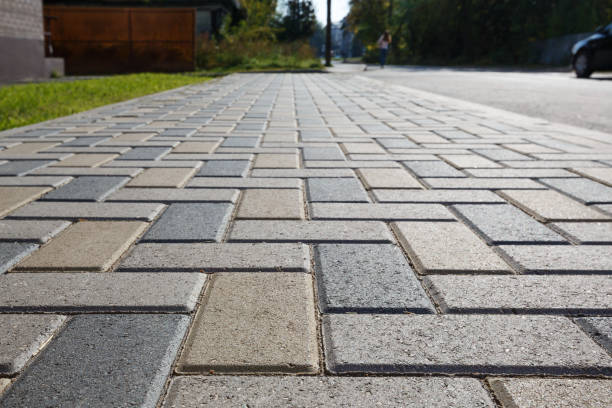 Best Driveway Paving Contractor  in Pleasant View, TN